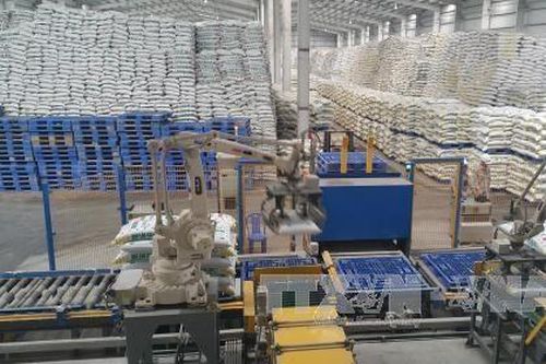 Nhiều đơn vị thành viên của Vinachem có lợi nhuận tăng hai con số
