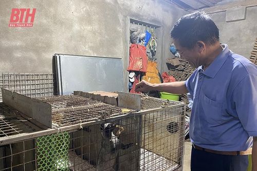 Nhiều mô hình con nuôi đặc sản hiệu quả