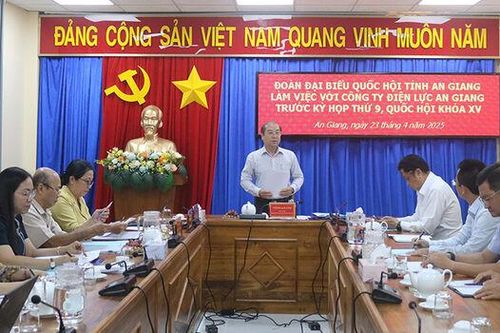 Đoàn Đại biểu Quốc hội tỉnh An Giang làm việc với ngành điện lực