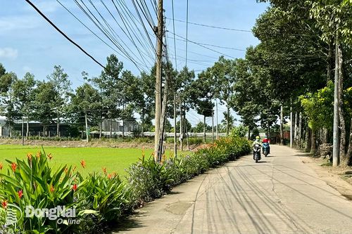 Huyện miền núi xây dựng nông thôn mới kiểu mẫu