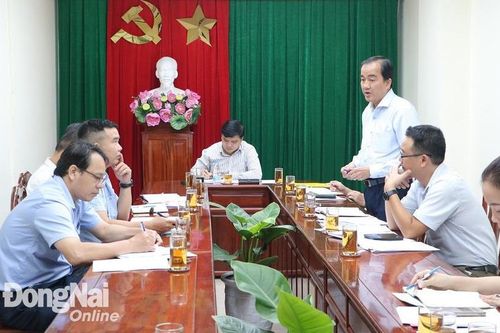 Đồng Nai đưa dự án chỉnh trang quảng trường Sông Phố, công viên Biên Hùng vào danh mục dự án đầu tư công trung hạn