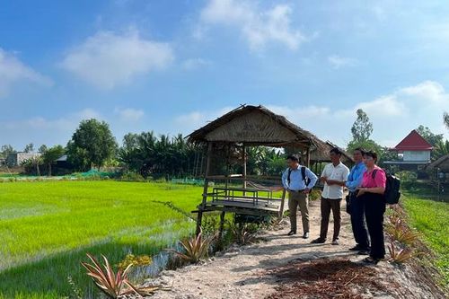 Tiềm năng từ thị trường tín chỉ carbon thông qua Đề án 1 triệu héc ta lúa chất lượng cao đồng bằng sông Cửu Long