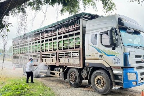 Triển khai Tháng tổng vệ sinh khử trùng tiêu độc phòng-chống dịch bệnh