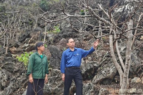 Hạn hán kéo dài đe dọa mùa na 2025