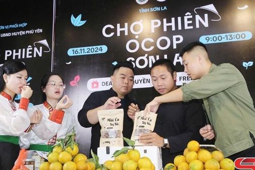 Thúc đẩy phát triển kinh tế số