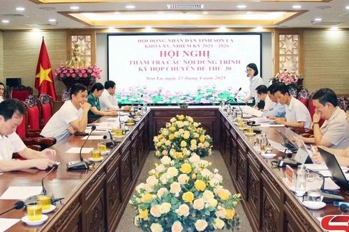 Ban Kinh tế - Ngân sách thẩm tra các nội dung trình Kỳ họp chuyên đề thứ 30