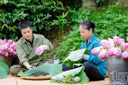 Kiên nhẫn giữ hương trà Việt