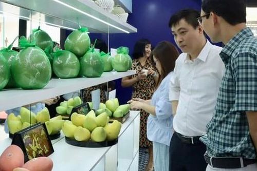 Quản lý thị trường mách dân cách truy xuất nguồn gốc trái cây