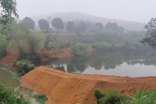 Chủ tịch Hà Nội giao huyện Ba Vì kiểm tra việc người dân san lấp trái phép tại hồ Đầm