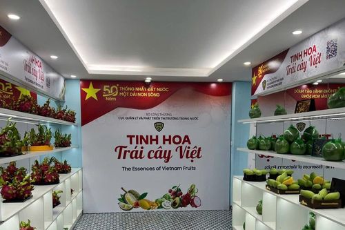 Truy vết nguồn gốc trái cây thông qua quét mã QR code
