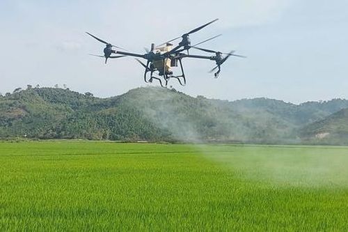 Chuyển đổi xanh: HTX, doanh nghiệp cần chính sách 'may đo' phù hợp