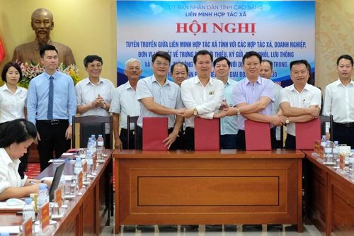 Tuyên truyền về trưng bày, tiêu thụ các sản phẩm tiêu biểu giai đoạn 2025 - 2030