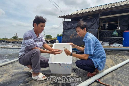Tận dụng tiềm năng phát triển thủy sản