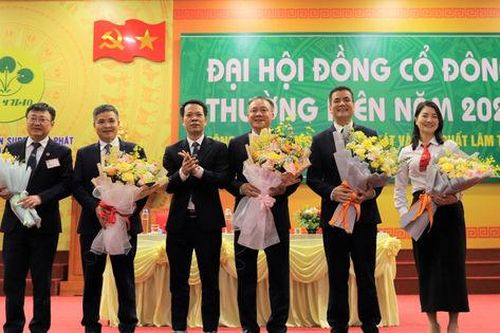 Supe Lâm Thao: Kết quả sản xuất kinh doanh tích cực, chia cổ tức 12%