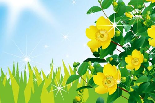 Ngày Lập hạ năm 2025 là ngày nào?