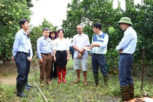 Diễn đàn Khuyến nông @ Nhịp cầu nhà nông:Đưa khoa học kỹ thuật đến với nông dân