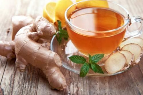 10 loại kháng sinh tự nhiên