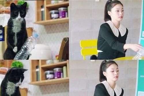 Đoạn cắt 'cứa tim', hay xuất sắc khiến dân mạng đổ xô đi xem Heavenly Ever After