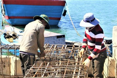 Nâng cấp khu neo đậu cho tàu thuyền trú tránh bão