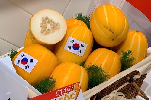 Dưa lê Hàn Quốc lần đầu được nhập khẩu chính ngạch về Việt Nam