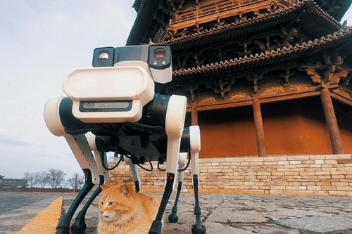Chó robot bảo vệ ngôi chùa gần 1.000 năm tuổi ở Trung Quốc