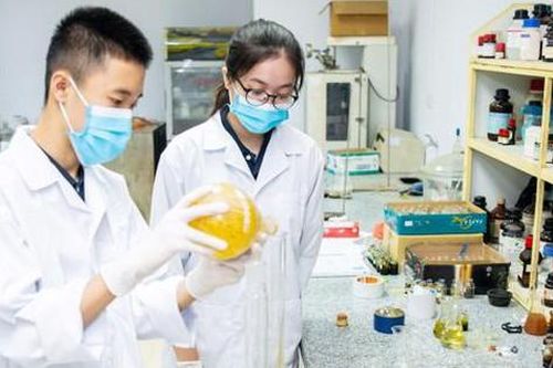 Khuyến khích thanh niên tích cực tham gia phát triển khoa học công nghệ, đổi mới sáng tạo, chuyển đổi số