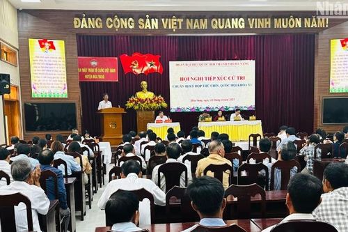 Cử tri Đà Nẵng lo ngại về sữa giả, thuốc giả tràn lan trên thị trường