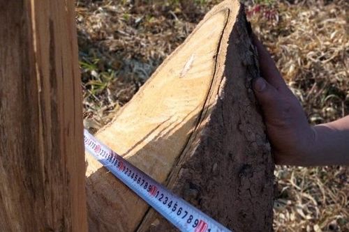 Cần kiên quyết hơn trong xử lý đối tượng phá rừng trái pháp luật tại Điện Biên