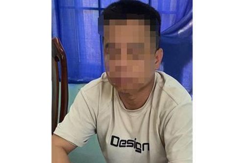 Lừa '2 đầu' sa lưới