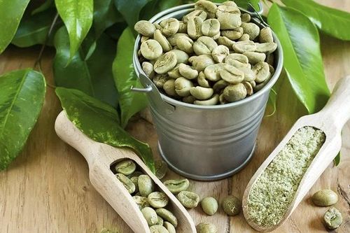 Hoạt chất giảm cân từ cà phê xanh