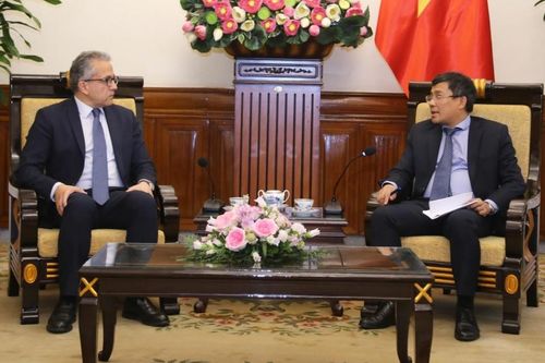 Việt Nam sẵn sàng phối hợp chặt chẽ với Ai Cập trong các cơ chế của UNESCO
