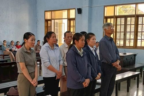 Gia Lai: Cựu Phó Chủ tịch huyện lãnh án vì liên quan sai phạm đất đai