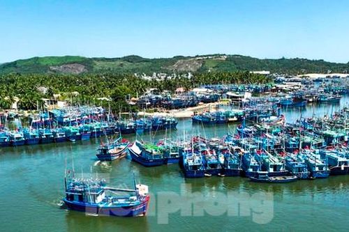 Hai ngư dân Bình Định rơi xuống biển tử vong