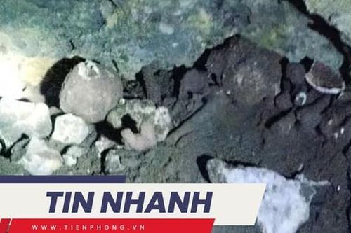 TIN NHANH: Vụ xương người trong hang: Bước đầu xác định có 18 hộp sọ