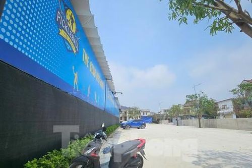 Nhiều sân pickleball 'mọc' trái quy định ở Nghệ An