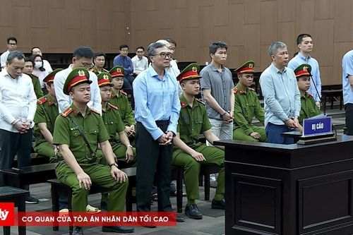 Cựu Thứ trưởng Bộ Công Thương ân hận vì sai phạm