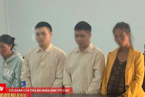Hai anh em ruột giết người trong rừng lĩnh án