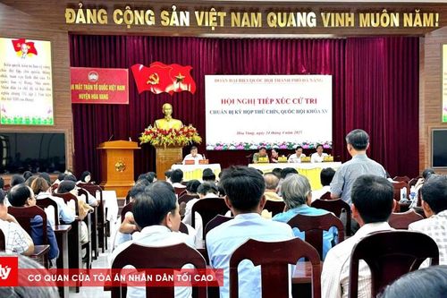 Bức xúc sữa giả, thuốc giả, cử tri yêu cầu hành động