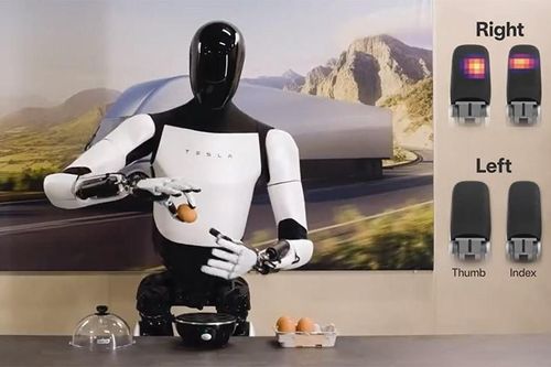 Robot hình người của Elon Musk gặp khó vì Trung Quốc cấm đất hiếm