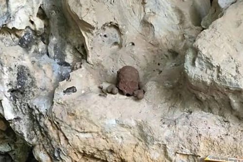 Phát hiện nhiều bộ hài cốt trong hang đá tại Nghệ An