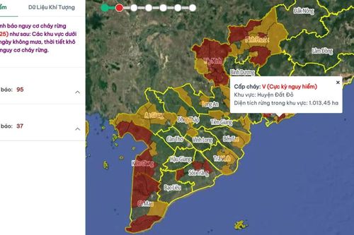 'Cảnh báo đỏ' 37 khu vực rừng nguy cơ cao cháy rừng cấp cực kỳ nguy hiểm