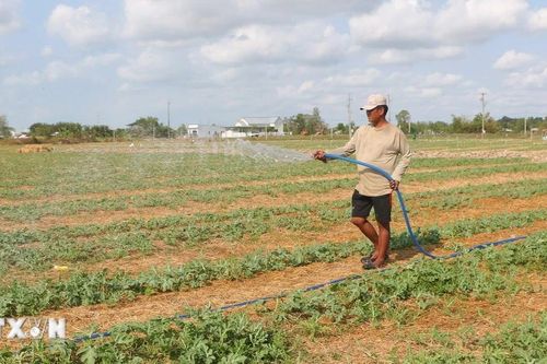 Dự báo tình trạng hạn hán, thiếu nước sẽ kết thúc vào đầu tháng Năm tới
