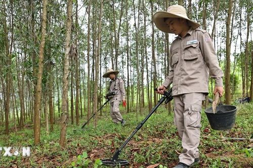 Hoàn thành rà phá bom mìn tại Di tích Quốc gia Đặc biệt Thành cổ Quảng Trị
