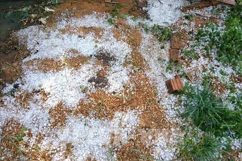 Mưa đá, dông lốc gây thiệt hại tài sản, hoa màu của người dân