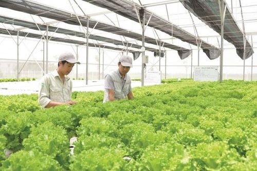 Nông thôn mới và cơ hội từ kinh tế tuần hoàn