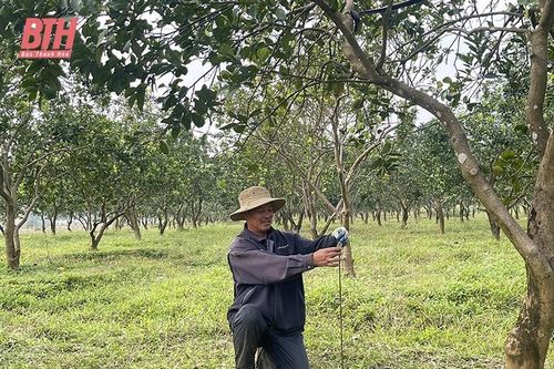 Tối ưu hóa quy trình sản xuất nông nghiệp
