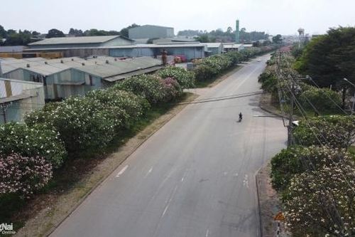Thêm 5 doanh nghiệp tại Đồng Nai bị xử phạt vi phạm môi trường