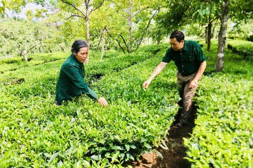 Đẩy mạnh phong trào thi đua 'Cựu Thanh niên xung phong nêu gương sáng, làm theo tấm gương đạo đức Hồ Chí Minh'