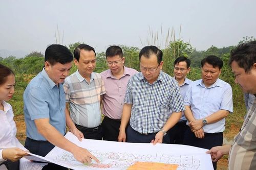 Kiểm tra thực địa một số dự án đầu tư lĩnh vực nông - lâm nghiệp tại Bảo Thắng