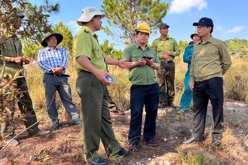 Di Linh: Triển khai đồng bộ các giải pháp quản lý, bảo vệ rừng vùng giáp ranh